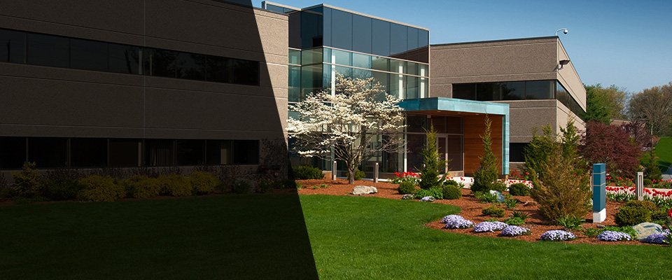 Dorchester Center Landscapers