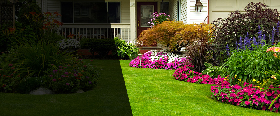 Dorchester Center Landscapers