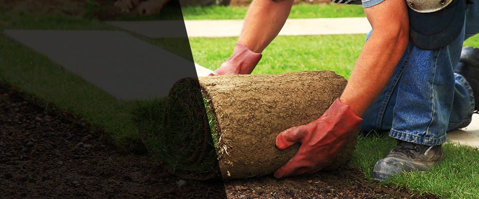 Dorchester Center Landscapers